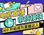 大鹏·电商直播带货课，系统学习直播带货各环节技巧和套路-第一资源库