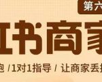 贾真-小红书商家营第6期商家版，21天带货陪跑课，让商家丢掉付流量-第一资源库
