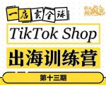 TikTokShop出海训练营（第十三期），打开全球流量新思维，出海抢占全球新流量，一店卖全球-第一资源库
