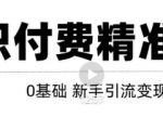 玩转知识付费项目精准引流，给你1套课多账号操作落地方案！-第一资源库