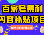 百家号暴利内容补贴项目，图文10元一条，视频30一条，新手小白日赚300+-第一资源库