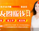 全网千万人气导师亲授:零基础/易上手的朋友圈赚钱攻略,让你轻松月入过万-第一资源库
