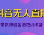 抖音无人直播带货赚佣金陪跑训练营（价值6980元）-第一资源库