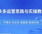 拼多多店铺运营思路与实操教程，快速学会拼多多开店和运营，少踩坑，多盈利-第一资源库