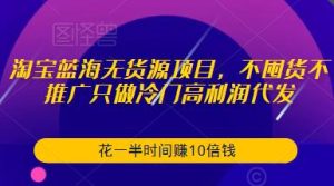 淘宝蓝海无货源项目,不囤货不推广只做冷门高利润代发,花一半时间赚10倍钱-第一资源库