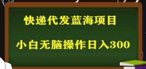 2023最新蓝海快递代发项目,小白零成本照抄也能日入300+-第一资源库