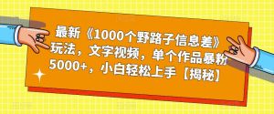 最新《1000个野路子信息差》玩法，文字视频，单个作品暴粉5000+，小白轻松上手【揭秘】-第一资源库