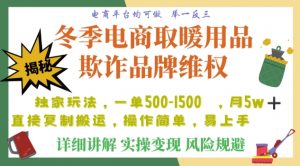 利用电商平台冬季销售取暖用品欺诈行为合理制裁店铺,单日入900+【仅揭秘】-第一资源库