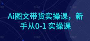 Ai图文带货实操课，新手从0-1 实操课-第一资源库