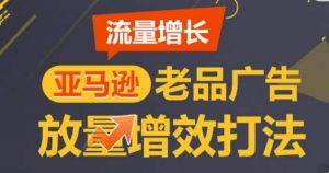 亚马逊流量增长-老品广告放量增效打法，循序渐进，打造更多TOP listing​-第一资源库