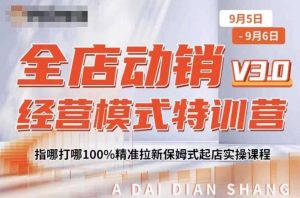 全店动销经营模式特训营，指哪打哪100%精准拉新保姆式起店实操课程-第一资源库