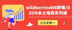 wildberriesWB野莓/OZON本土电商系列课，掌握WB产品优化，出单技巧和订单处理等-第一资源库