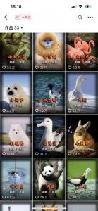 动物科普解说项目,撸创作者伙伴计划收益,保姆级实战教程-第一资源库