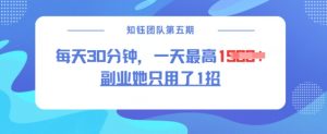 副业她只用了1招，每天30分钟，无脑二创，一天最高1.5k-第一资源库