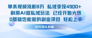 单条视频私域变现4.9k+利用AI做私域玩法 已经开始火热0基础也能做的副业项目轻松上手-第一资源库
