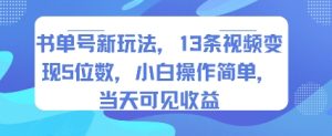 书单号新玩法，13条视频变现5位数，小白操作简单，当天可见收益-第一资源库