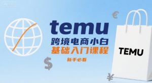 temu跨境电商小白基础入门课程，新手必看-第一资源库
