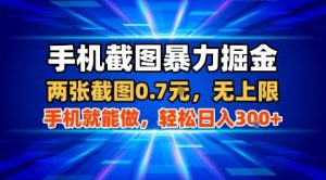 手机截图暴力掘金，两张截图0.7米，一部手机就能做，轻松日入3张+【揭秘】-第一资源库