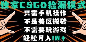 CSGO自动捡漏项目，最新独家玩法，不是美区搬砖，不需要了解和玩游戏，新手小白轻松月入1W+【揭秘】-第一资源库